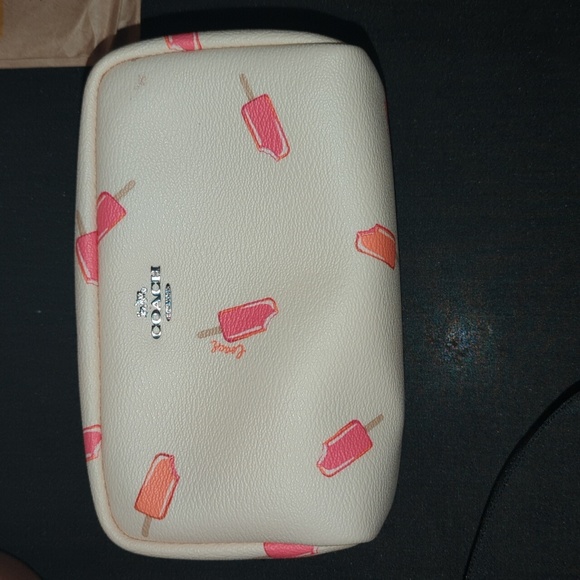Coach Popsicle Pouch - Picture 2 of 7
